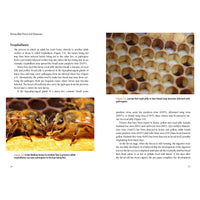 Honey Bee Pests and Diseases