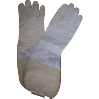 Budget Protective Gloves with Ventilated Wrists