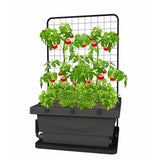 FoodCube Wicking Bed
